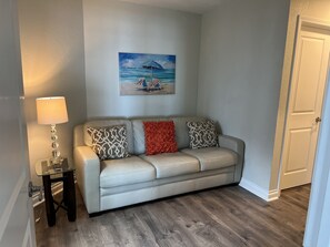 TV connectée, cheminée, lecteur de DVD, livres