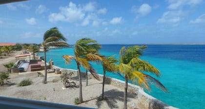Panoramic Oceanfront Luxury Suite at Sand Dollar Dive Resort