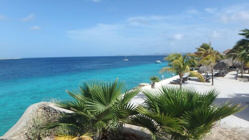 Blue Zone @ Sand Dollar - Luxussuite am Meer im Tauchresort