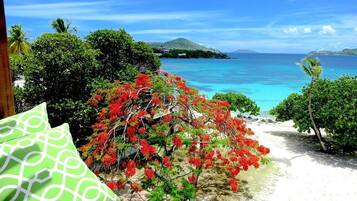 Plage, chaises longues, serviettes de plage