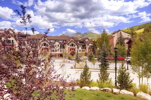 Terrain de l’hébergement 