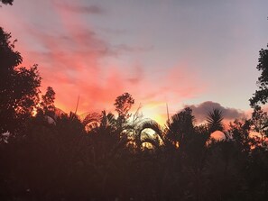 A sunset with a silhouette of trees and a bridge. - Off-Grid Glamping Close to Beaches (Pahoa)