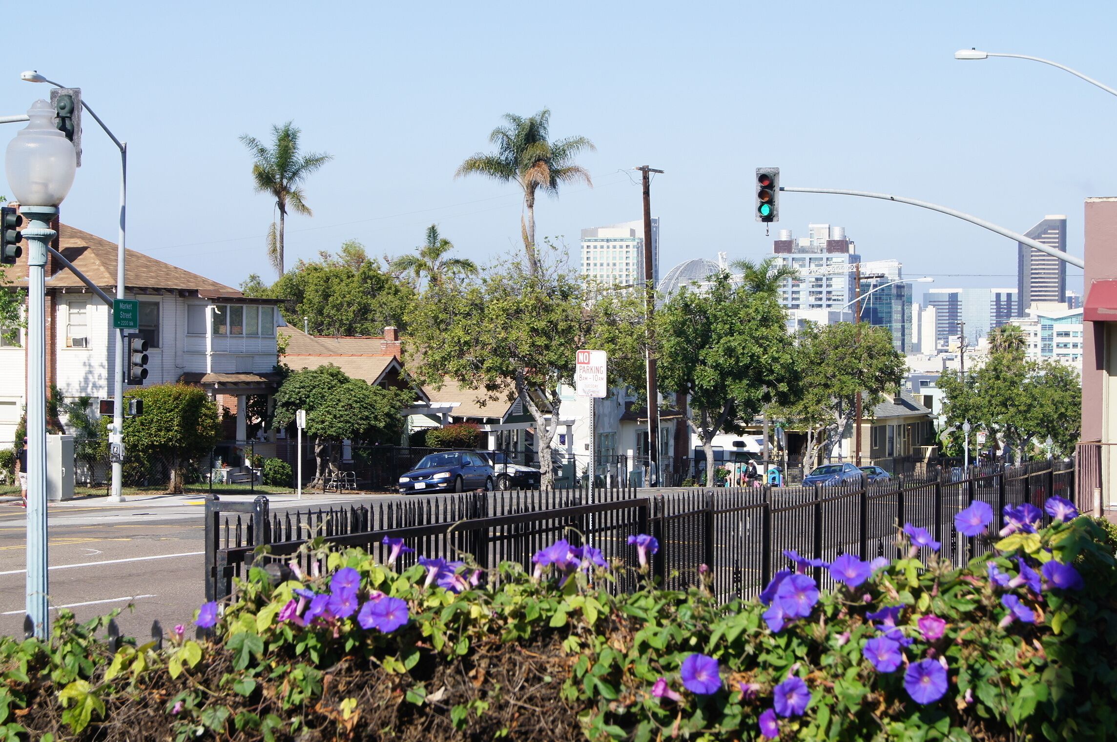 A street view with a traffic light, palm trees, and buildings in the background.