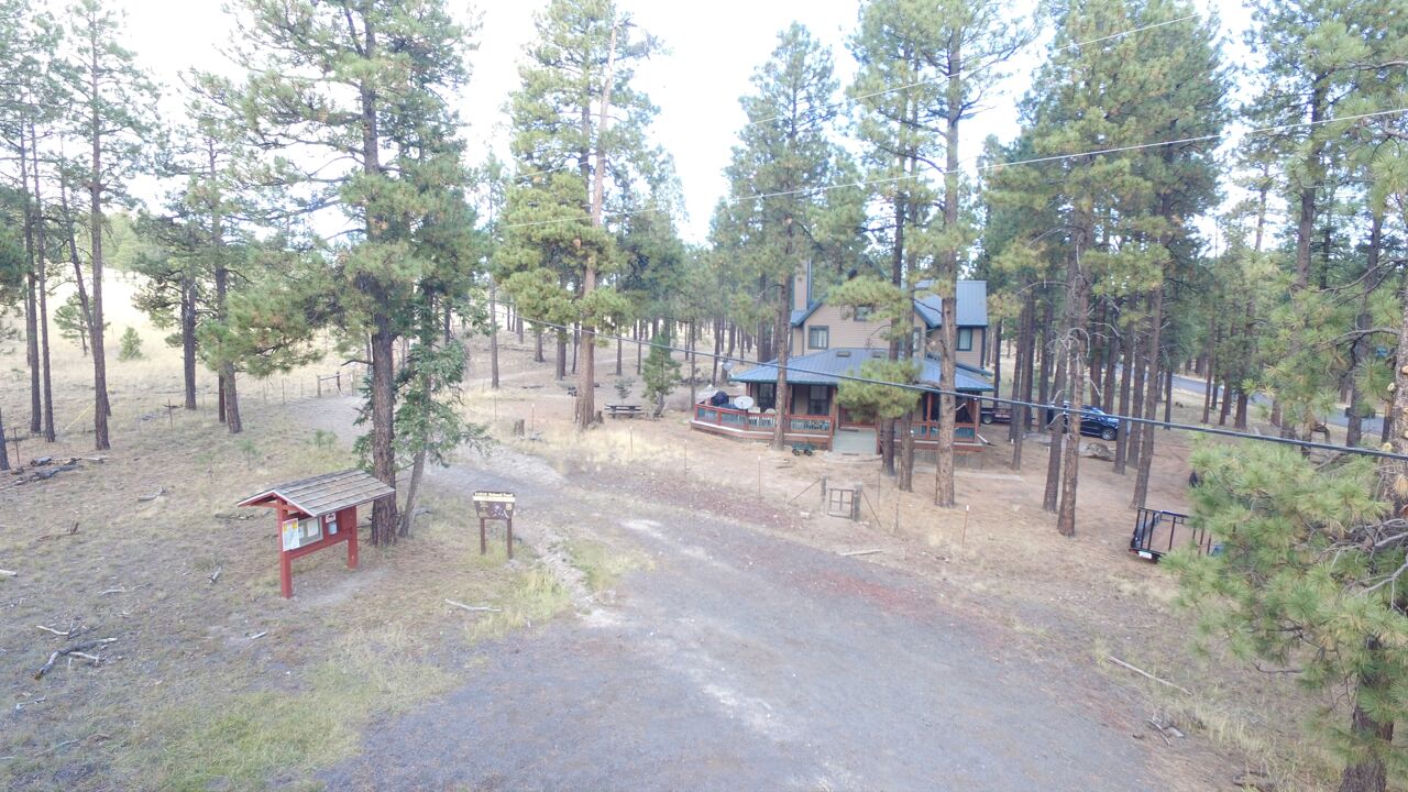 A cabin surrounded by tall pine trees, a gravel driveway, and a small red structure.