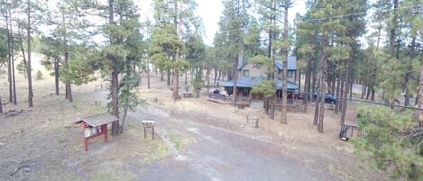 A cabin surrounded by tall pine trees, a gravel driveway, and a small red structure.