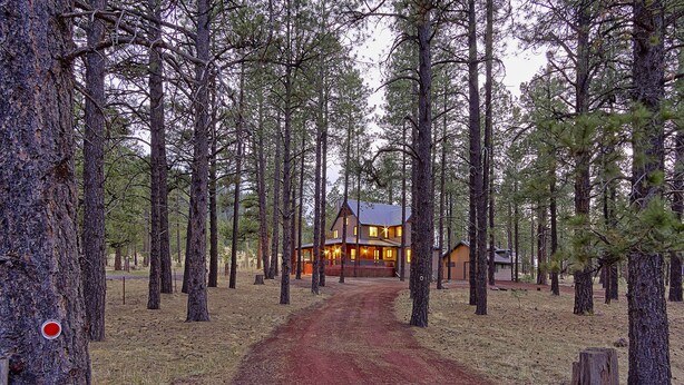 A lodge surrounded by tall pine trees with a dirt road leading to it. - Woodsy family getaway: private, hiking, wood stove, sleeps 12 (Parks)