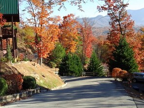 Property grounds - Closer To Home - Luxurious Mountain Cabin in the Smokies (Gatlinburg)