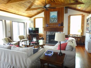 Smart TV, chimenea, reproductor de DVD y libros 