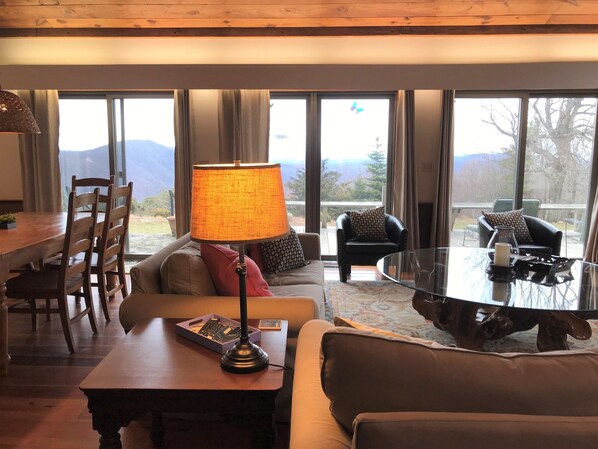 Smart TV, fireplace, DVD player, books