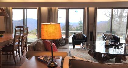 Upeat näkymät, lähellä Viinitilat, Primland & Parkway - kauniisti sisustettu