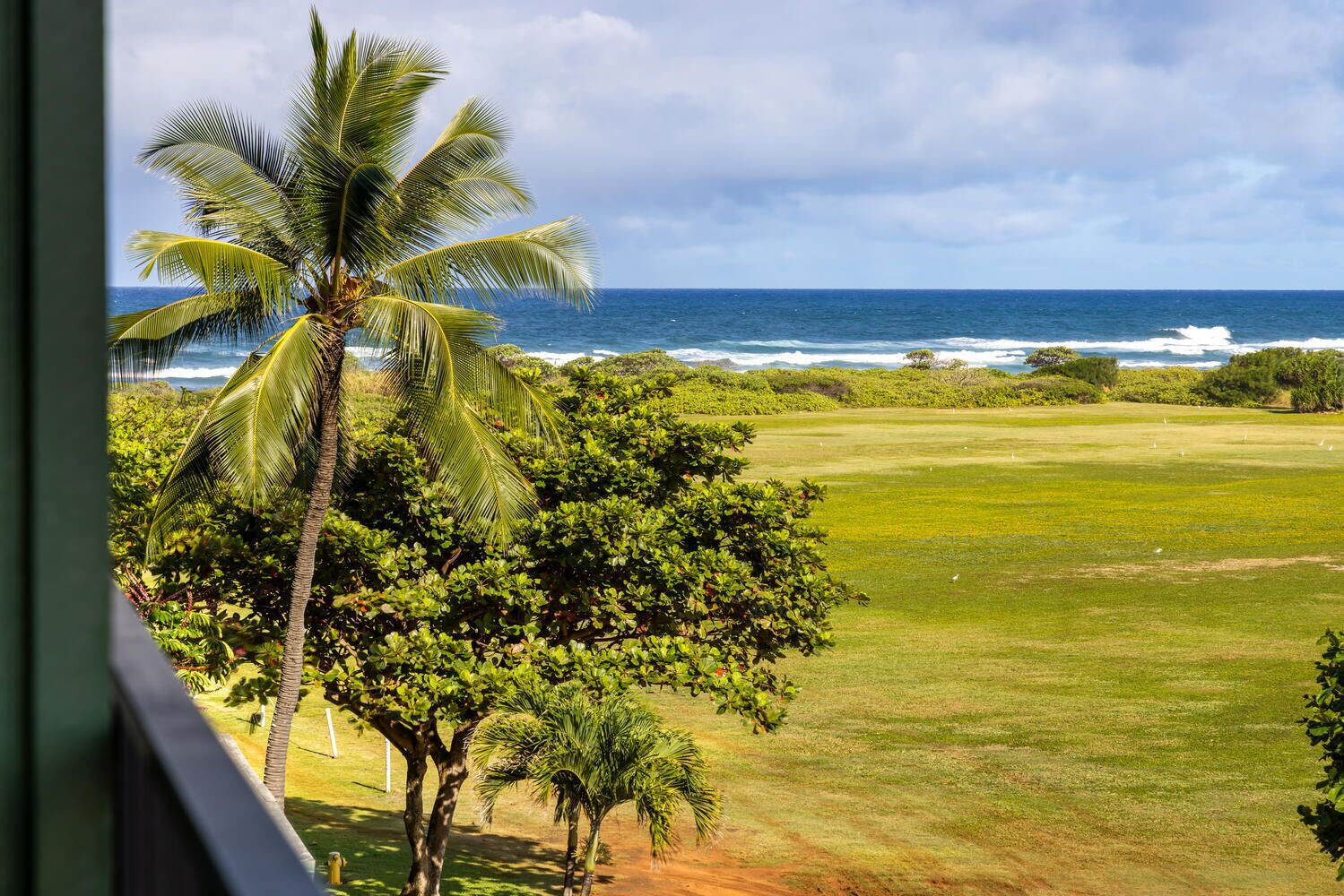 A view of a golf course with a palm tree and ocean in the background.