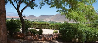 Amazing, Peaceful, ON THE RIDGE- GORGEOUS VIEWS!!! Free Wi-Fi