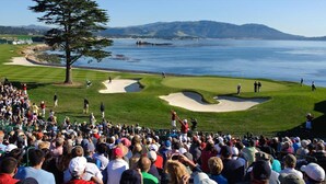 A golf course with spectators, a large tree, and a body of water in the background.