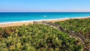 Une plage avec un escalier en bois menant à la rive, entourée d’une végétation luxuriante.