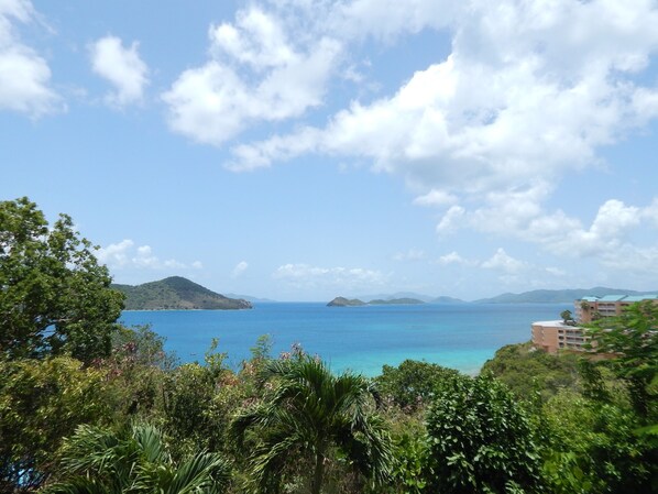 Une vue sur la côte, avec un ciel dégagé, une végétation luxuriante et des montagnes à l’horizon.