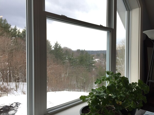 A window with a view of a snowy landscape and a potted plant on the windowsill.