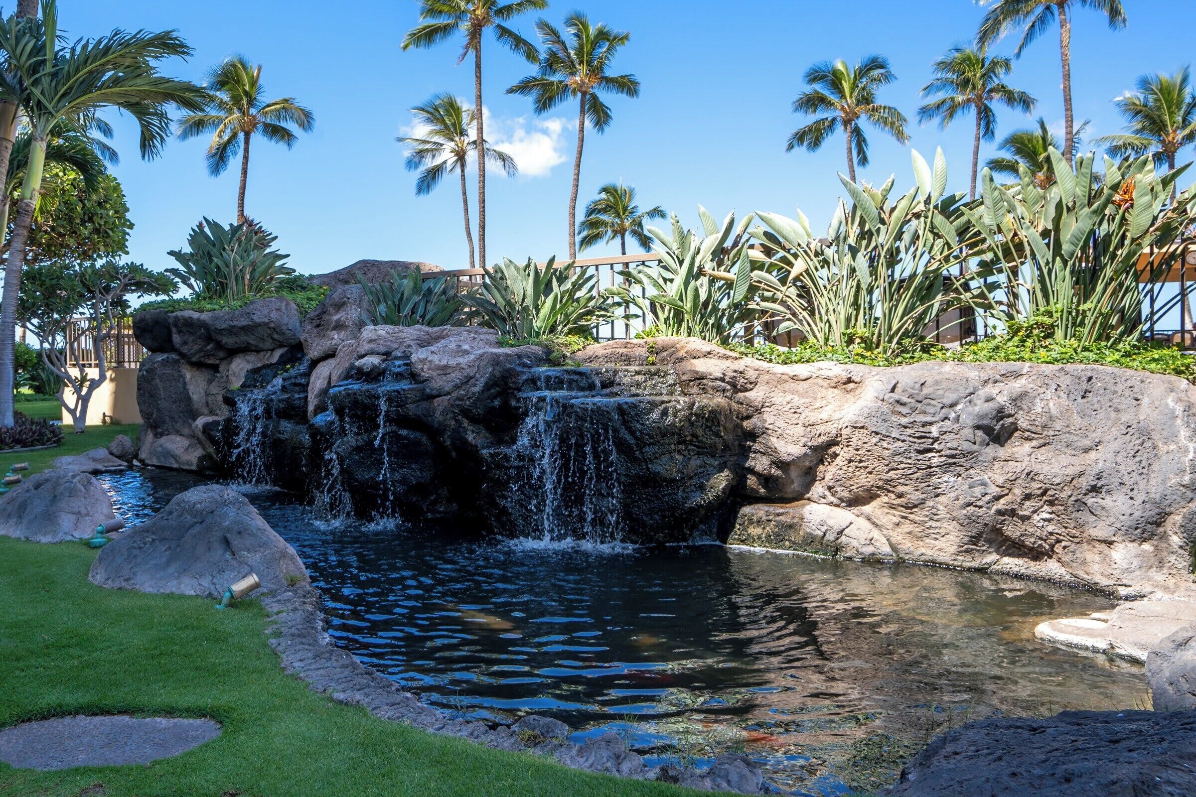 Un jardín ajardinado con cascada, palmeras y piscina.