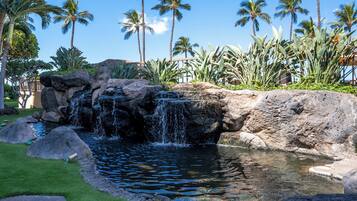 Un jardín ajardinado con cascada, palmeras y piscina.