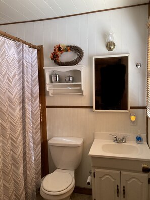 A bathroom with a white toilet, a sink with a mirror, and a shower curtain. - Cozy Pet Friendly Cabin! -  2 blocks from Bear Mountain in Southern California (Big Bear Lake)