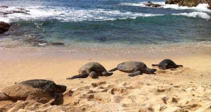 De Oahu Secret Hideaway, un paraíso para los dos