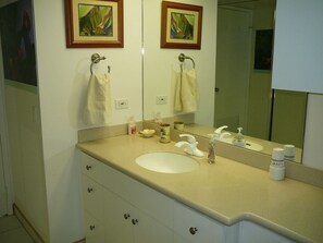 Ensemble douche/baignoire, sèche-cheveux, serviettes fournies, savon