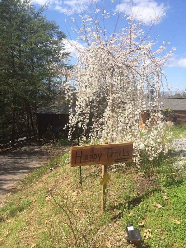 En träskylt med texten ”Happy Trails” placerad i en naturskön miljö med blommande träd och en klar himmel.