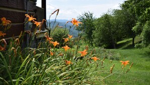 Ein Garten mit orangefarbenen Blumen und grünem Gras vor einem Holzhaus.