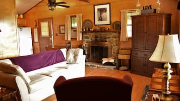 Smart TV, chimenea, reproductor de DVD y libros