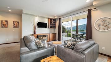 TV connectée, cheminée, jeux vidéo, lecteur de DVD