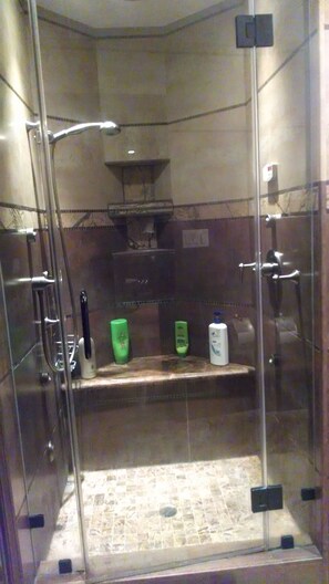 Hair dryer, towels, soap, shampoo