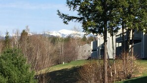 A residential area with a house, a tree, and a mountain in the background. - Peaceful, Family Friendly, Heated Outdoor Pool, Awesome Views, Near Story Land (Bartlett)