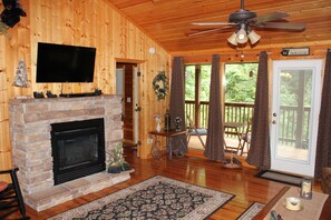 Smart TV, fireplace, DVD player, books