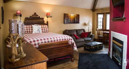 Cozy Suite with fireplace and Jacuzzi tub . Dogs OK.