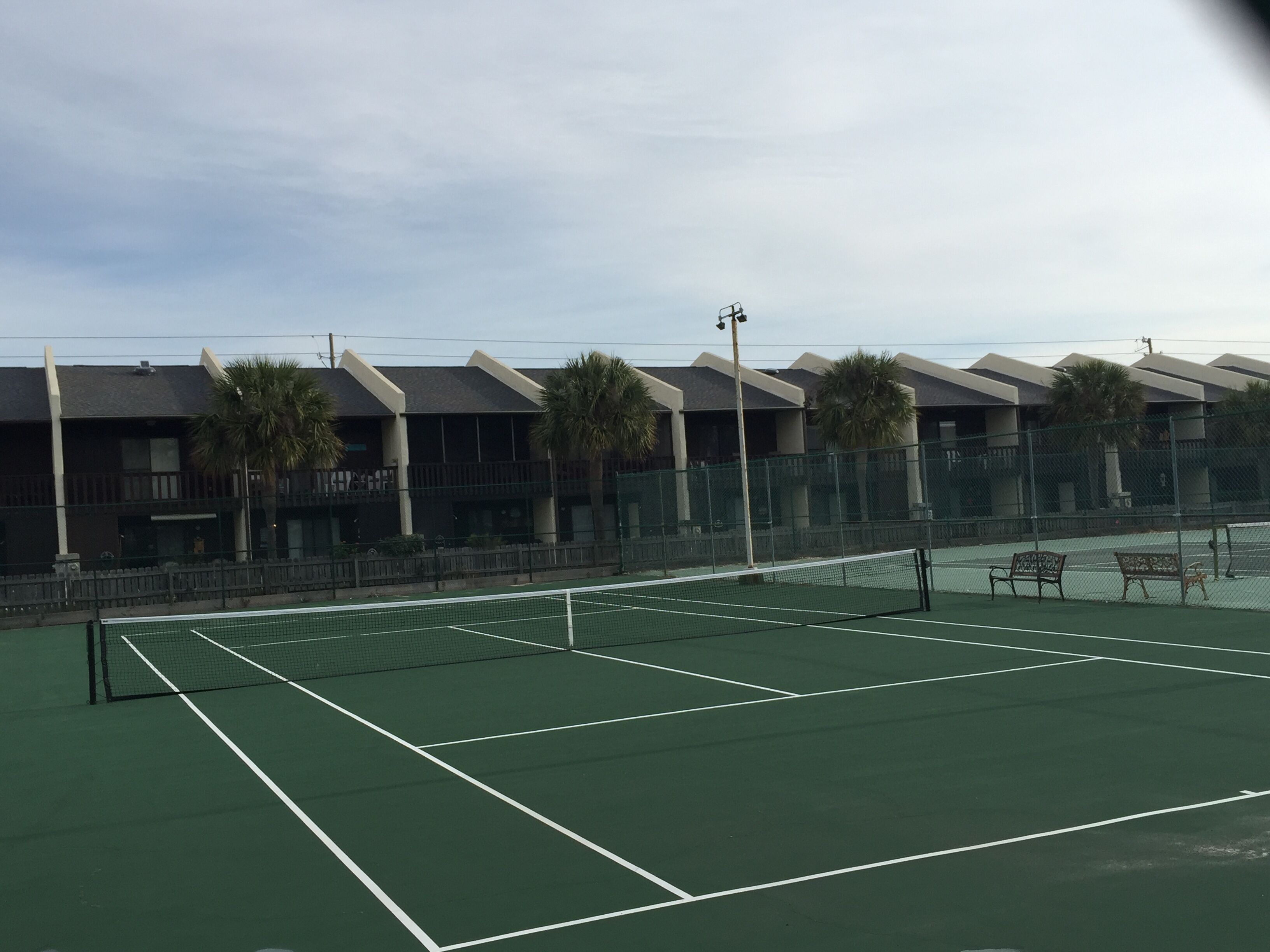 Un terrain de tennis avec un filet, entouré d’une clôture et de palmiers.