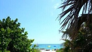 A sandy path leading to a beach with clear blue water and a palm tree on the right.