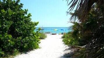 ビーチの近く、サンラウンジャー、ビーチタオル