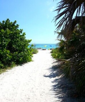 Un sendero arenoso que lleva a una playa con aguas azules cristalinas y una palmera a la derecha.