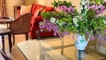 Smart TV, DVD player, books, video library