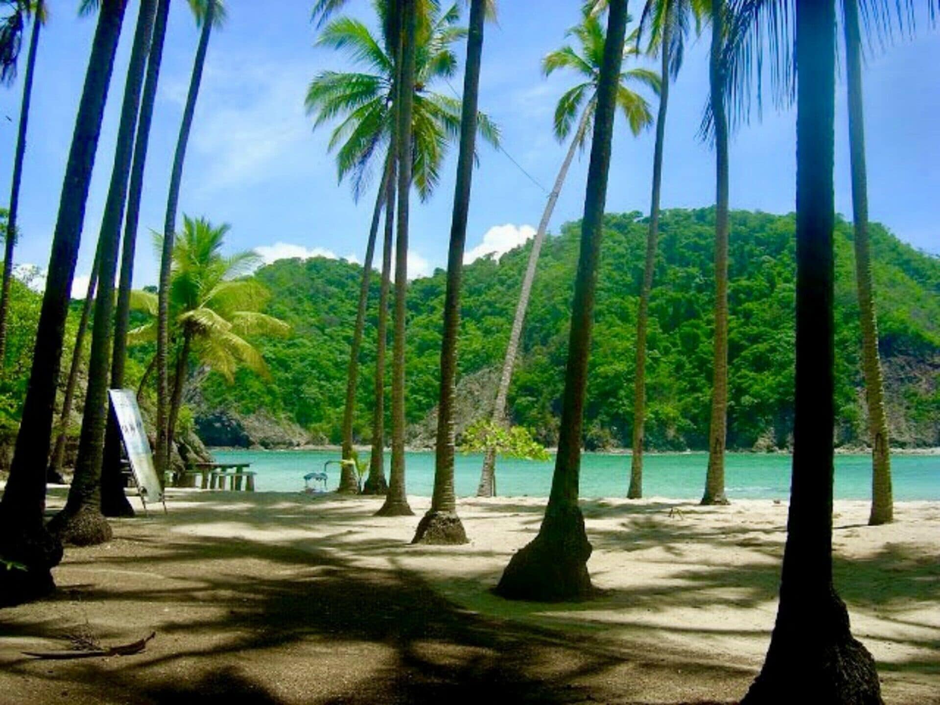 Sun loungers, beach towels