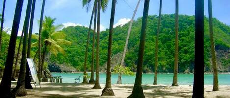 Sun loungers, beach towels