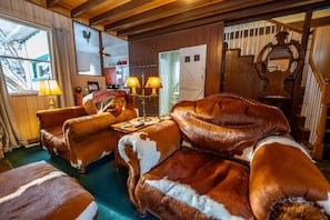 Smart TV, fireplace, DVD player, books