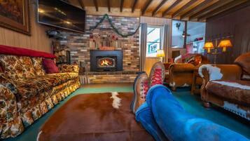 Smart TV, fireplace, DVD player, books