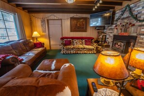 Smart TV, fireplace, DVD player, books