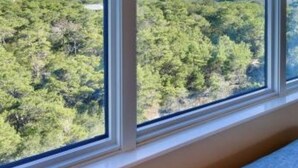 Ein Zimmer mit großem Fenster und Blick auf einen dichten Wald und einen wolkenlosen, blauen Himmel.