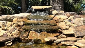 Ein natürlicher Felsen-Teich mit einem Wasserfall, umgeben von Steinen und Palmen.
