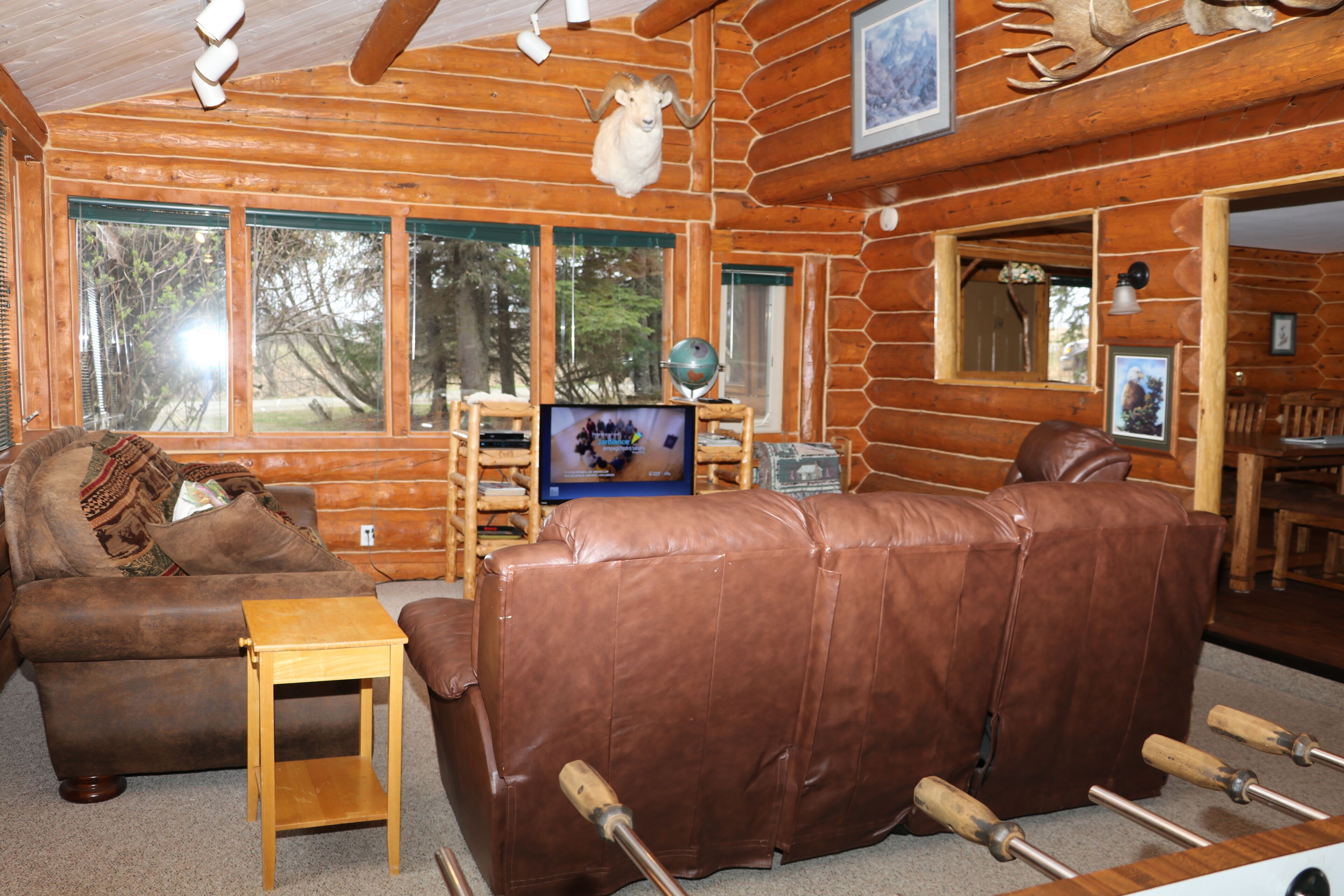 Smart TV, reproductor de DVD, futbolito y libros 