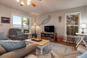 Smart TV, DVD player, books, video library