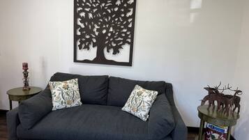 Smart TV, DVD player, video library