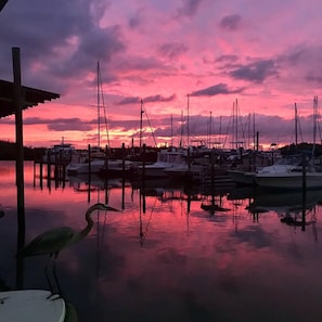 Marina