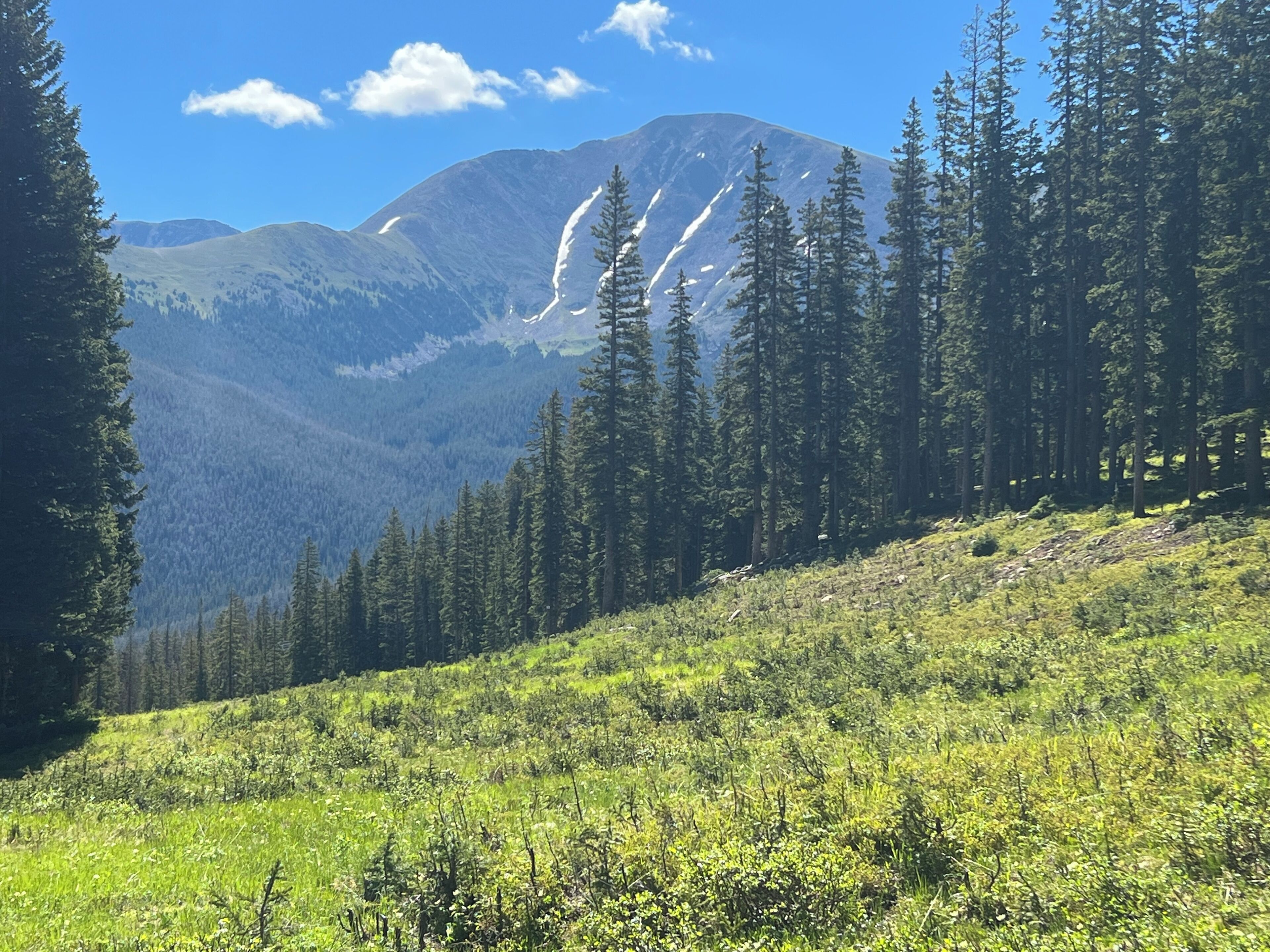 Un paisaje montañoso con bosques densos y un cielo despejado.